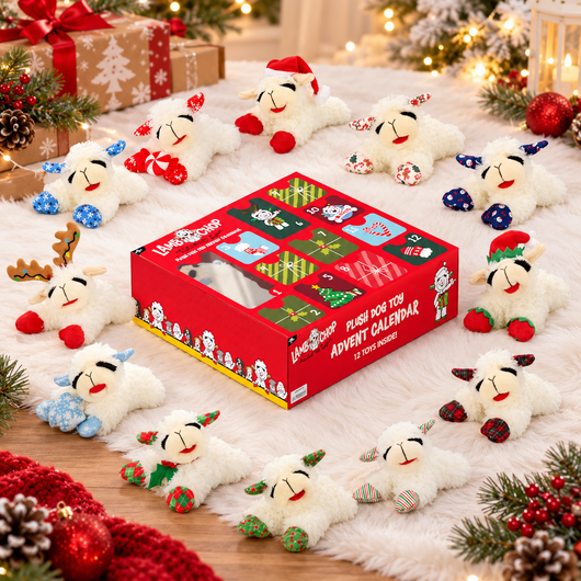 Lamb Chop Advent Calendar
